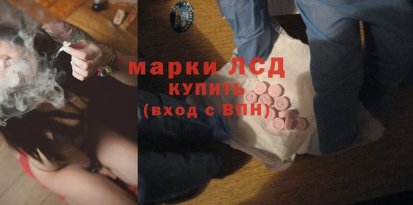 сатива Пересвет