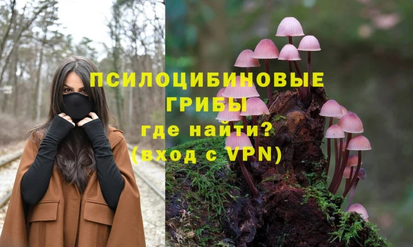спиды Лиски