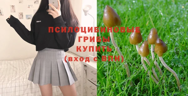 не бодяженный Лихославль