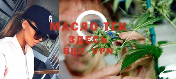 молекула духа Ладушкин
