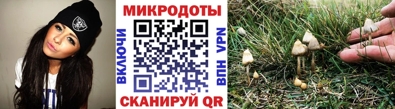 Псилоцибиновые грибы Psilocybe  Кяхта 